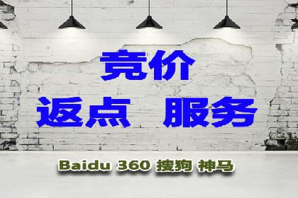 成功案例解析：SEM竞价托管运营策略